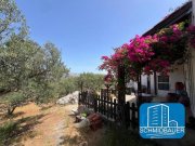 Alithini Kreta, Alithini: Ferienhaus inmitten eines Olivenhains zu verkaufen Haus kaufen